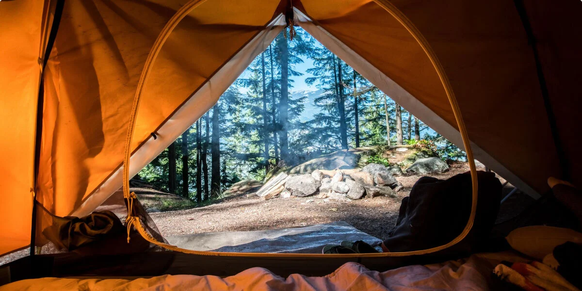 Into the wild: eco-adventure tours for nature enthusiasts 5 T7