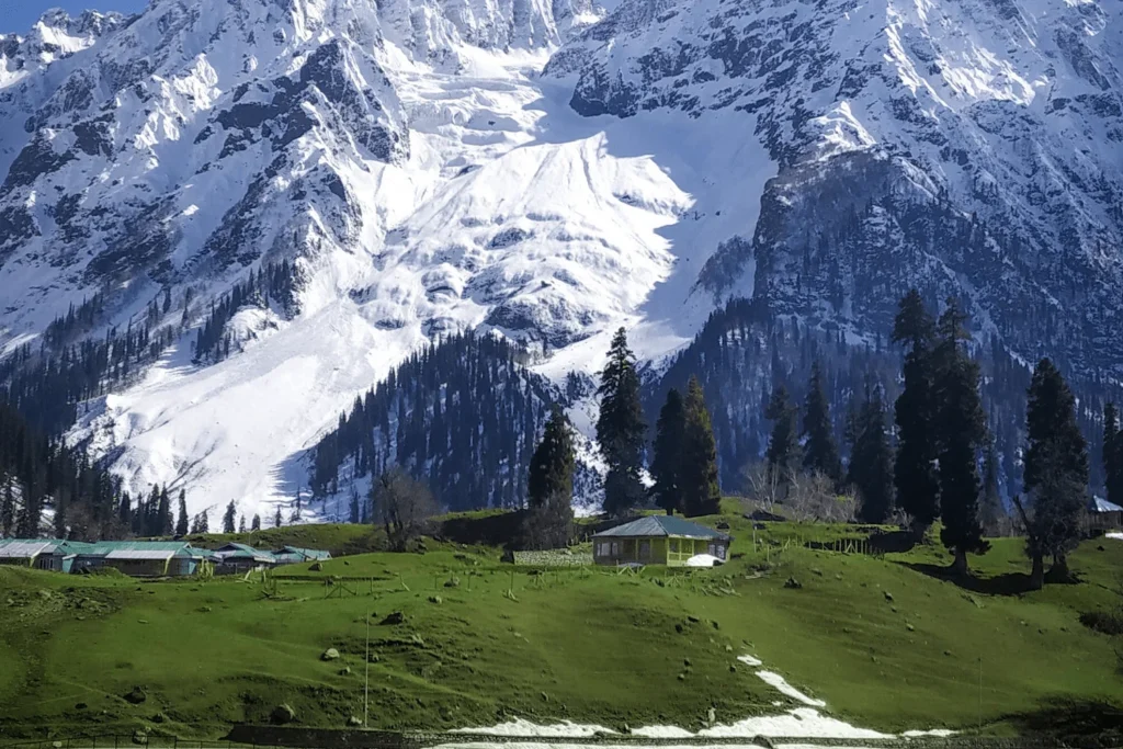 4 day Kashmir itinerary Gulmarg meadow
